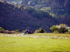 DSCN2125 DSCN2125