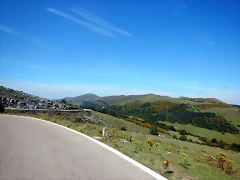DSCN8515 DSCN8515