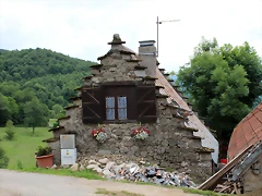 IMG_6506