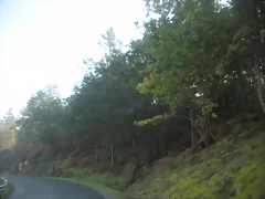 DSCN9794 DSCN9794