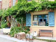 IMG_7088 IMG_7088