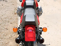 IMG_2442 IMG_2442