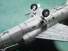 P1110098 P1110098