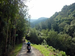 DSCN0938 DSCN0938