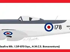 Spitfire Mk.XIV