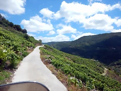 DSCN7837 DSCN7837