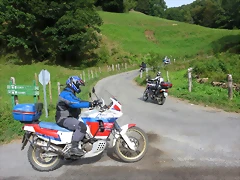 IMG_4522 IMG_4522