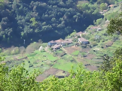 IMG_0420 IMG_0420