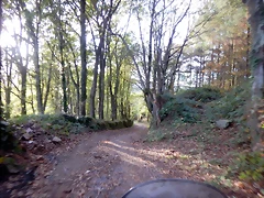 DSCN8487