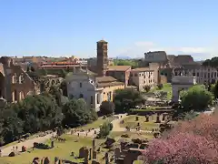 View_from_Palatine_Hill_2011_6