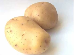 potato 2