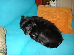DSC00433