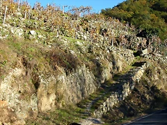 DSCN6494 DSCN6494