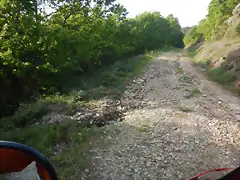 DSCN2111 DSCN2111