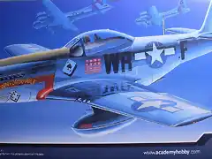 Academy - P51D - Mustang - 1-72 2