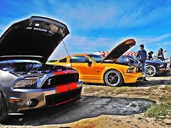 P3230708 P3230708