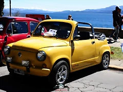 CAS_3949 CAS_3949