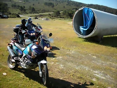 DSCN6556 DSCN6556