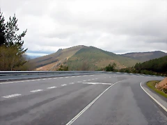 DSCN8416