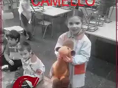 camello