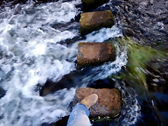 DSCN9743 DSCN9743