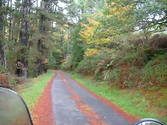 DSCN5725