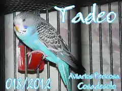 2012 018 TADEO