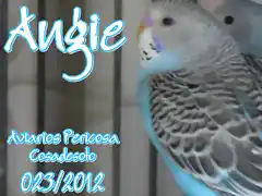 2012 023 ANGIE