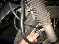IMG_1645 IMG_1645