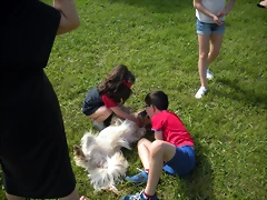 DSCN8339 DSCN8339