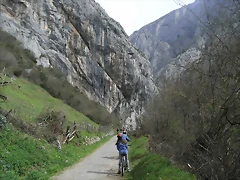 R0012331 R0012331