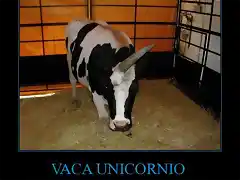 CR_337495_vaca_unicornio