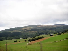 IMG_0463 IMG_0463