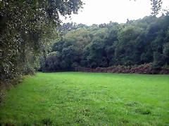 DSCN5290 DSCN5290