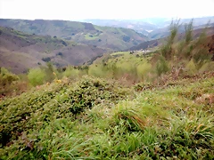 DSCN4340 DSCN4340