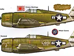 profile_P-47_2_with_348th