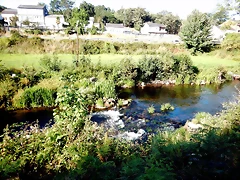 DSCN6797 DSCN6797