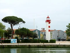 IMG_5084 (Copier) IMG_5084 (Copier)