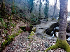 DSCN2566 DSCN2566