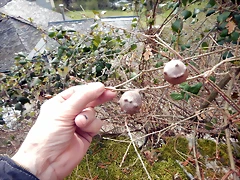 DSCN4042 DSCN4042