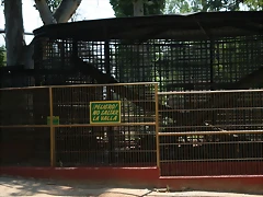 Zoo Barcelona, Faunia y Safari Madrid 1693