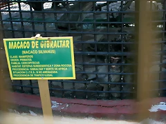 Zoo Barcelona, Faunia y Safari Madrid 1697
