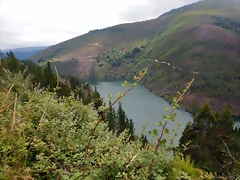DSCN1296 DSCN1296