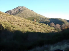 DSCN6946