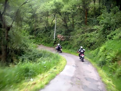 DSCN4555 DSCN4555