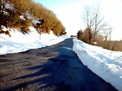 DSCN1989 DSCN1989