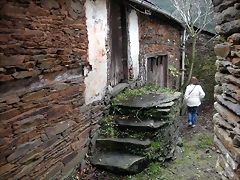 DSCN1162 DSCN1162