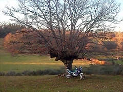 DSCN5821 DSCN5821