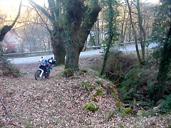 DSCN5798 DSCN5798