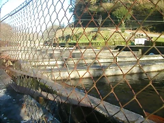 DSCN5777 DSCN5777